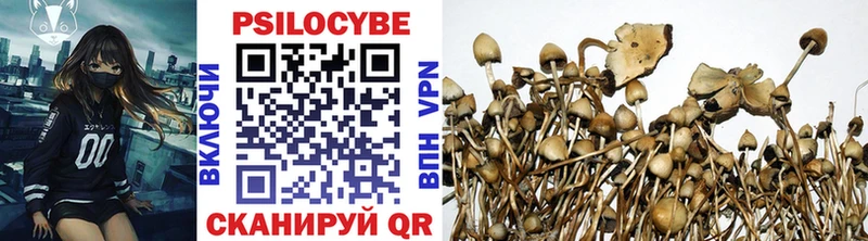 Галлюциногенные грибы Psilocybine cubensis Армавир